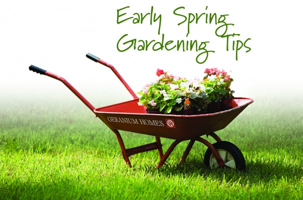 Early Spring Gardening Tips