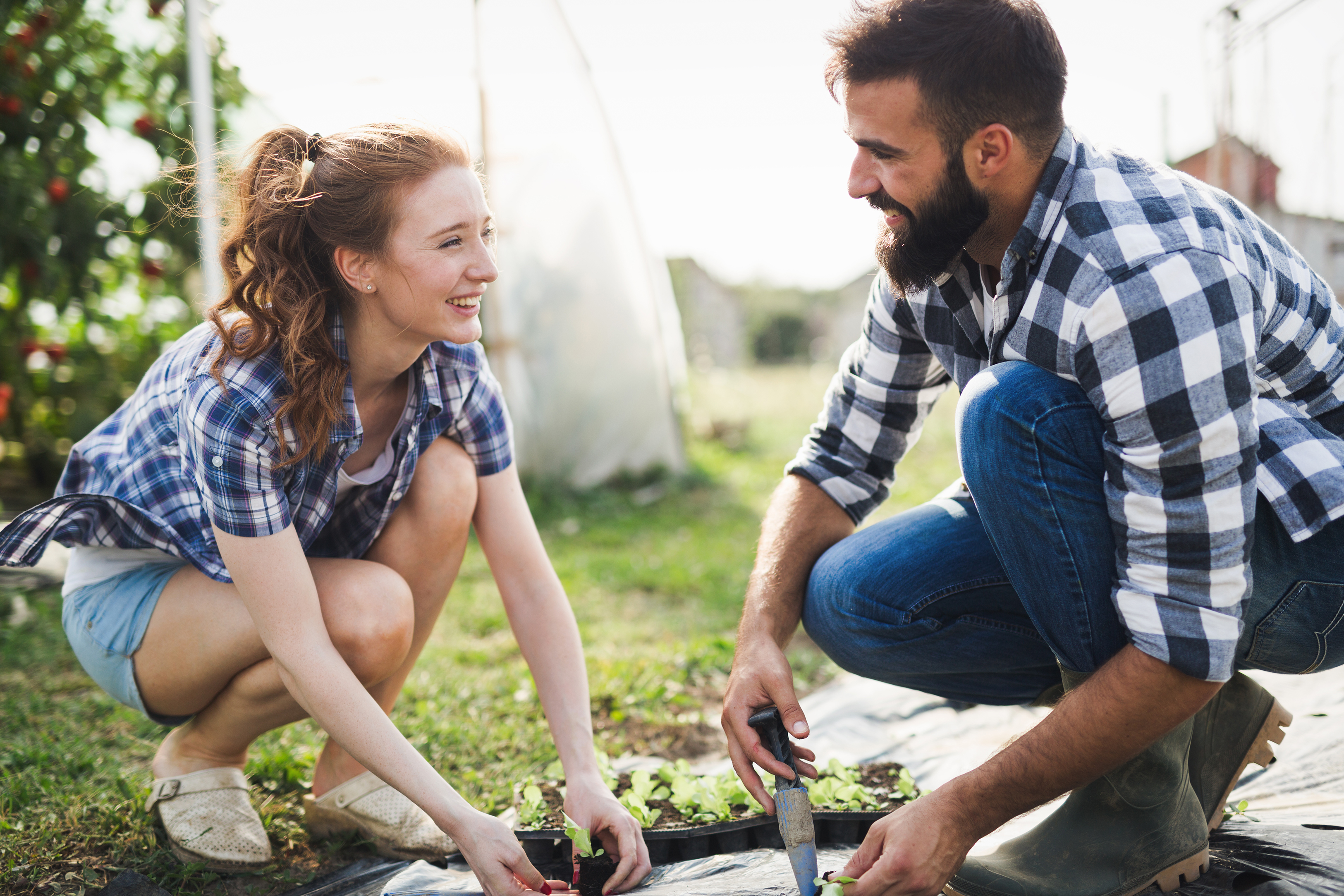 How to compost: A beginner's guide to composting basics