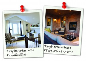 Pin It 2 Win #my GeraniumHome