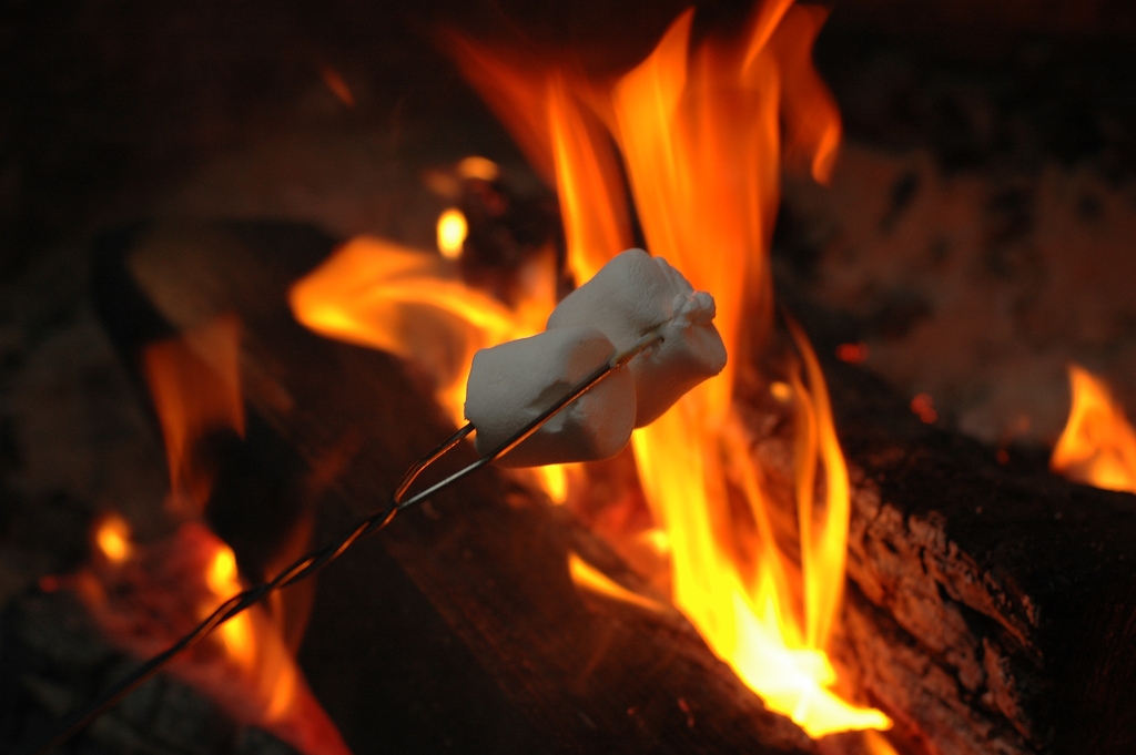 RoastingMarshmallows