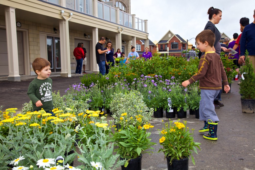 Neighbourhood in Bloom annual event in Cardinal Point