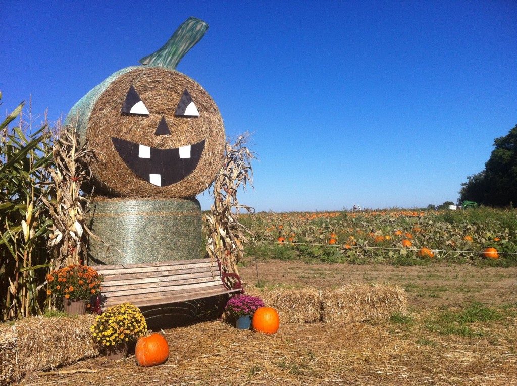 A festive haybale at Reesor's Market & Bakery.