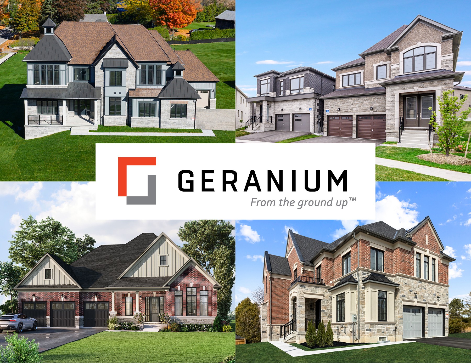 ABOUT GERANIUM