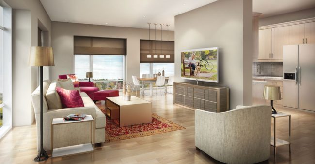 suite8 suite8