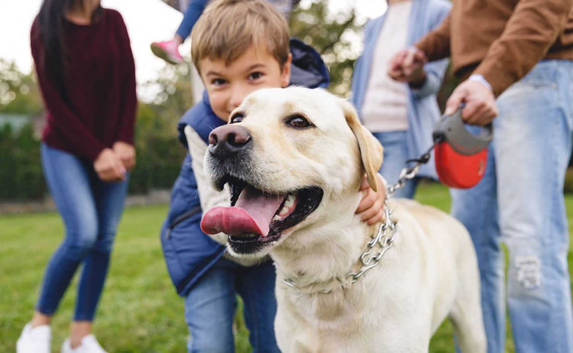 family-with-dog family-with-dog