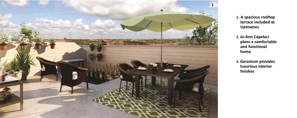 Geranium-Oct-26-13-1-2 | Geranium From The Ground Up