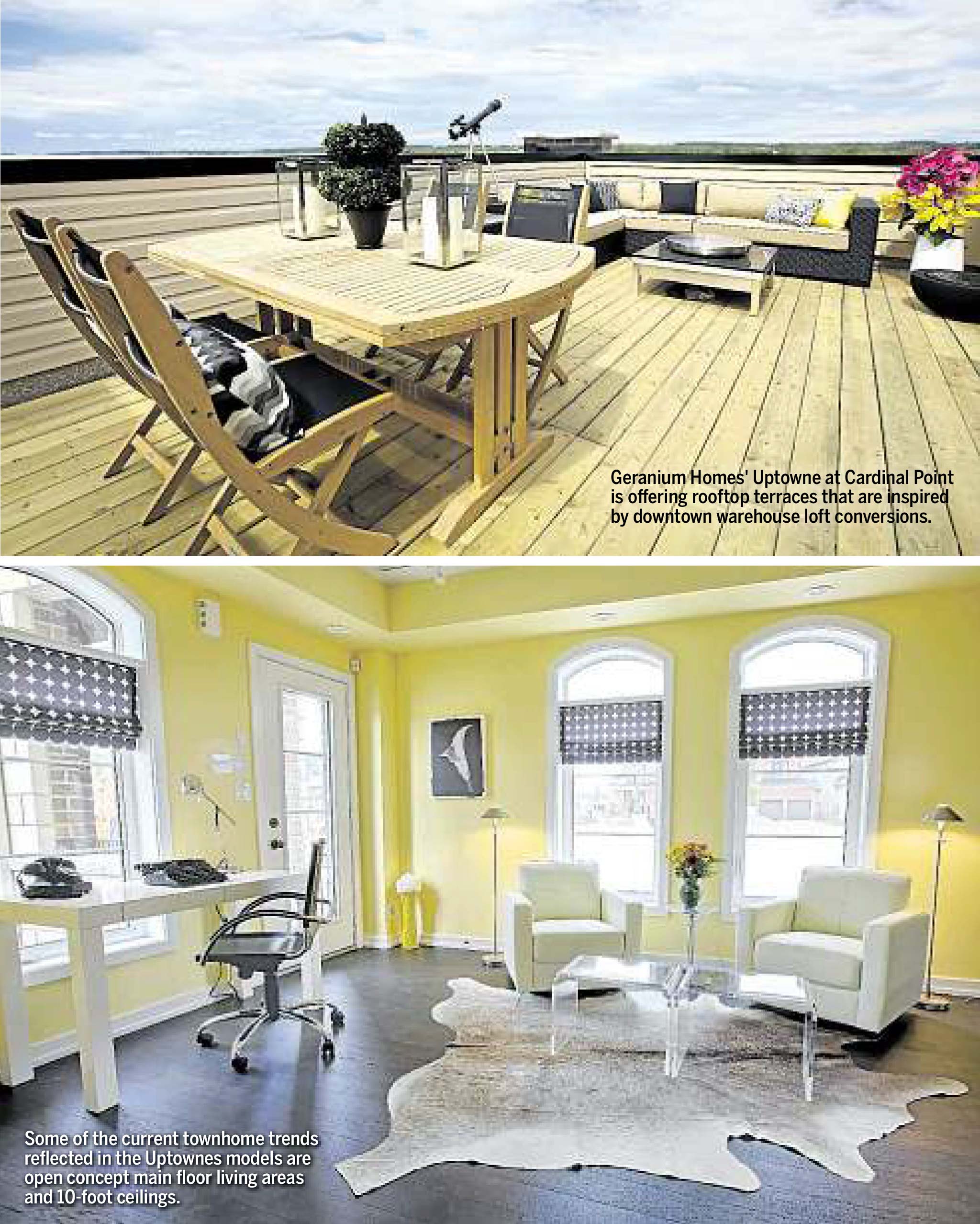 Oct.24-26_T.Sun_Homes_Pg | Geranium From The Ground Up