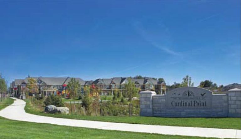 cardinal-point | Geranium From The Ground Up