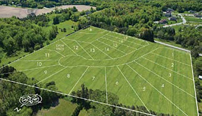 geranium-copperstone