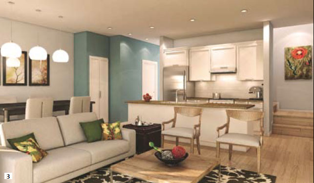 geranium3 | Geranium From The Ground Up