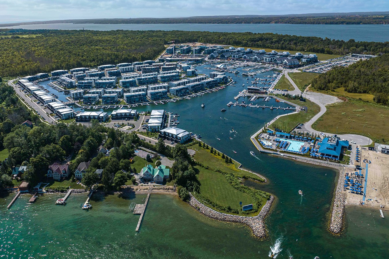 19cfee55-d8f4-4663-81b8-f8cdbf4eea07 | Geranium From The Ground Up