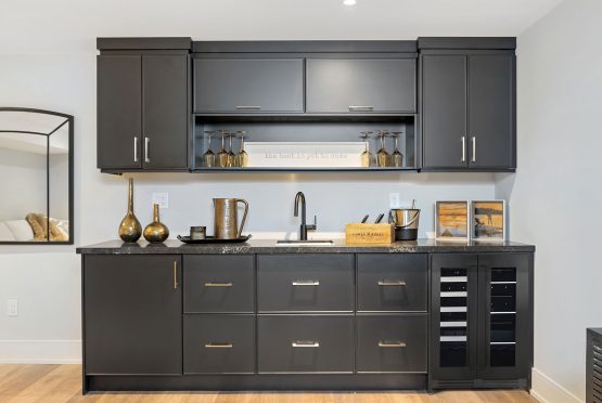 HOLLAND-Finished-Basement-Rec-Room-And-Gym-01